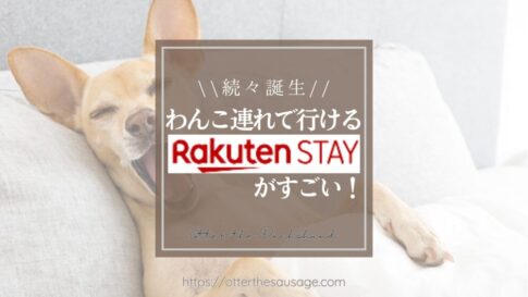 Blog Banner_dog friendly hotel brand_rakuten stay_ドッグフレンドリーホテルチェーン_犬と宿泊できるホテル_楽天ステイ