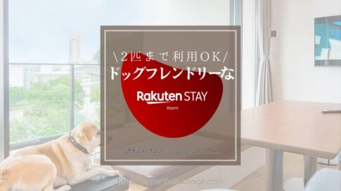 Blog Banner_dog friendly hotel_rakuten stay atami_ドッグフレンドリーホテル＿楽天ステイ