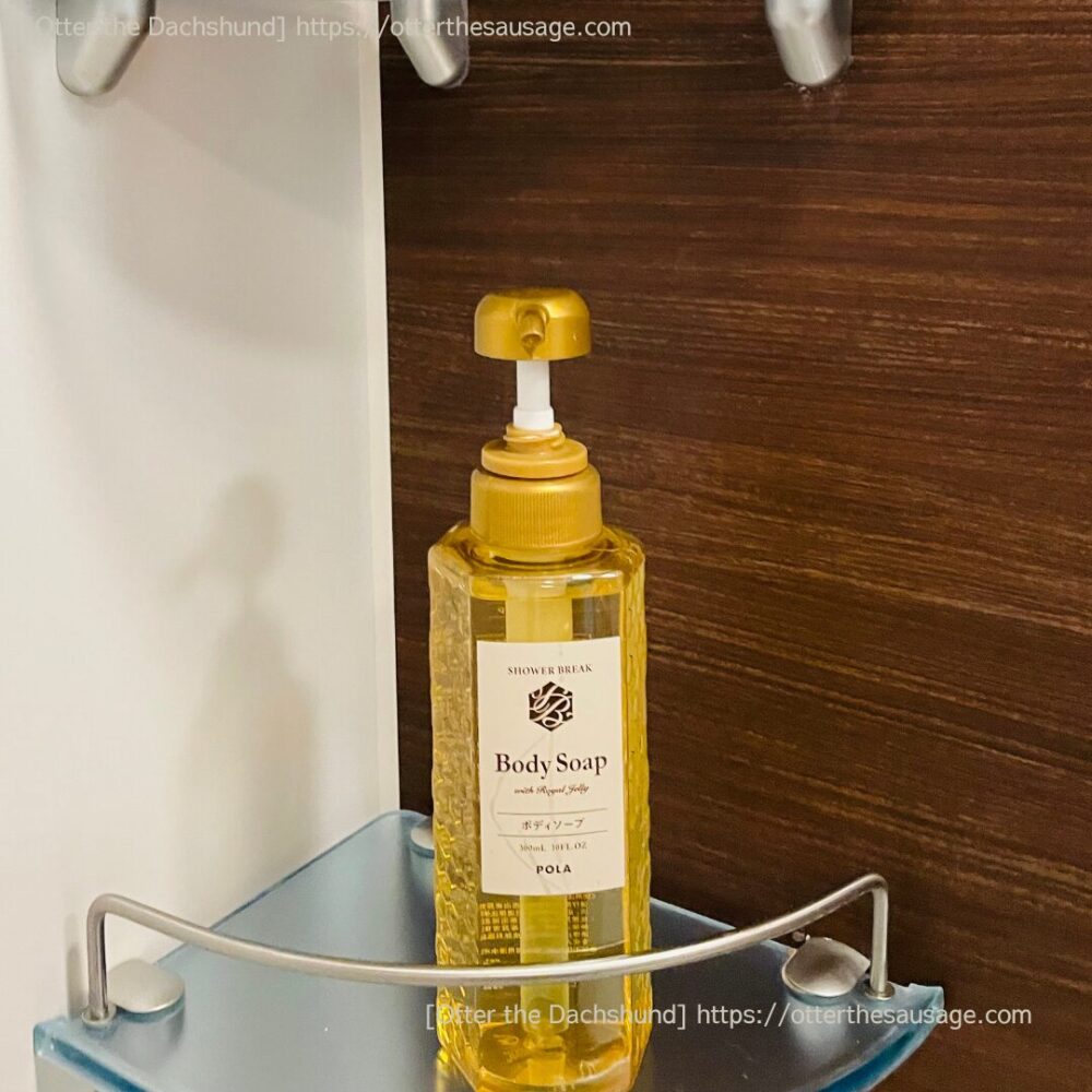 photo_dogfriendly-hotel_tokyo_ici-hotel-asakusabashi_ドッグフレンドリーホテル_東京イチホテル浅草橋_犬とお出かけ_犬連れ旅行_amenity_pola_SHOWER BREAK_シャワーブレイク_ボディソープ