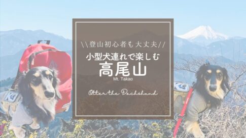 Blog Banner_dog-travel-tips_tokyo-takaosan【東京】高尾山: 小型犬連れで行く初心者向け登山ガイド_カニンヘンダックスフンドオッター