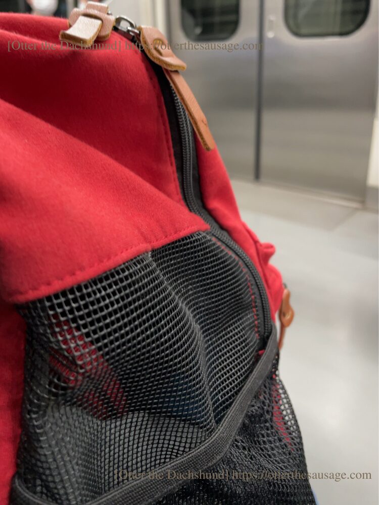 犬連れお出かけ_Otter the Dachshund_【東京】高尾山: 小型犬連れで行く初心者向け登山ガイド_カニンヘンダックスフンド_オッター_電車の中
