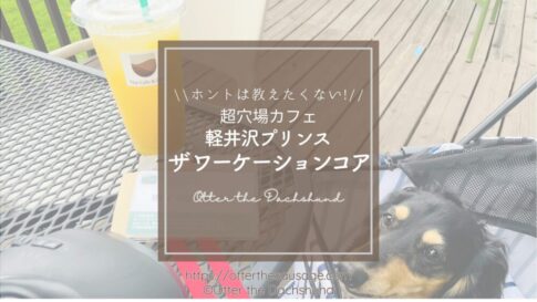 Blog Banner_dogfriendly-cafe_nagano_karuizawa-prince-the-workation-core_犬連れお出かけ 旅行_kaninchen dachshund_カニンヘンダックスフンド オッター_軽井沢プリンスショッピングプラザ_ザ ワーケーションコア_穴場カフェ