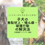 【トレーニング】ノイローゼにならないための子犬の無駄吠え・噛み癖・破壊行動の解決法［犬猫飼養アドバイザー解説］