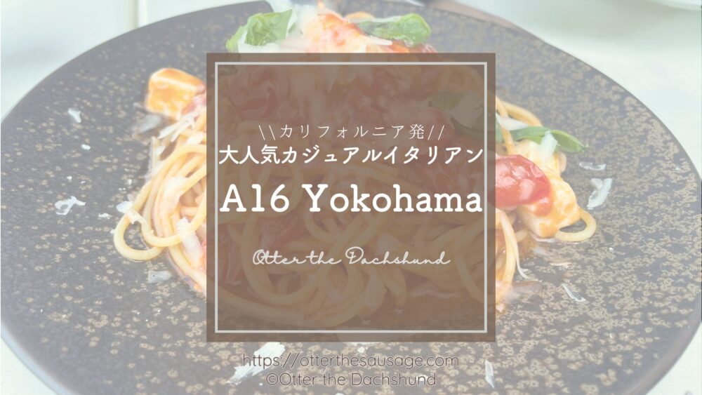 犬連れでテラスで一緒に食事ができるイタリアンレストラン_A16 Yokohama_犬連れ食事レビューブログバナー_トマトバジルパスタ