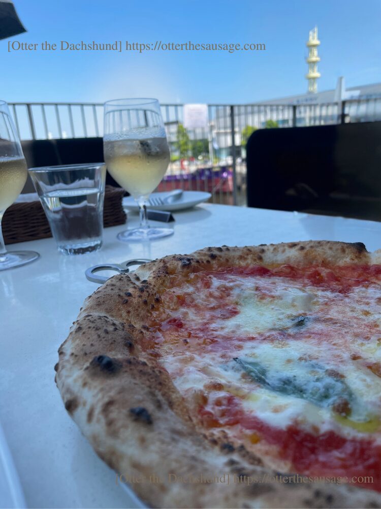 photo_dogfriendly-restaurant_kanagawa-yokohama_a16yokohama_pizza margherita_blue sky_横浜マリーン&ウォーク_イタリアン_ドッグフレンドリーレストラン_マルゲリータピザ