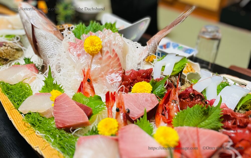 photo_dogfriendly-ryokan_shizuoka-atami_ajiro-kanko-hotel_private-onsen-room_travel withd ogs_sashimi-raw fish_funamori_犬連れ_ペット連れ_熱海_網代観光ホテル_Otter the Dachshund_犬と旅行_夕ご飯_お刺身_船盛