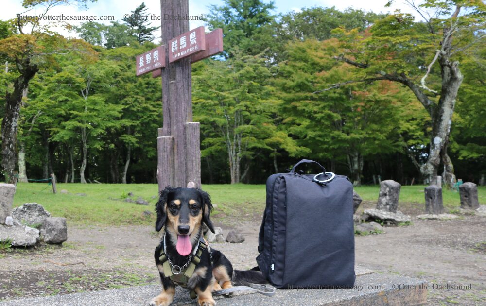 photo_goods-review_backpack-kabag-box-mini_dog travel_otter kaninchen dachshund_karuizawa-nagano_usui touge pass_グッズレビュー_カバッグボックスミニ リュック_犬連れ旅行_オーナーグッズ_碓氷峠_カニンヘンダックスフンドオッター_キロナイナー