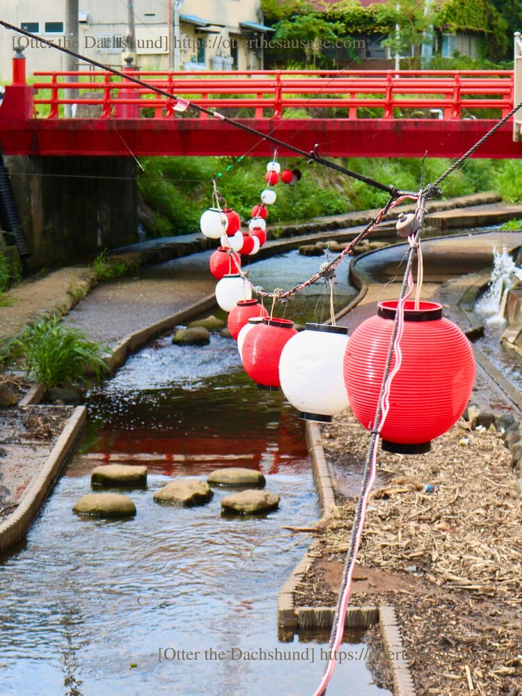 photo_travel with dog_dogfriendly-cafe_ajiro-shizuoka_river