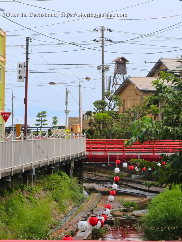 photo_travel with dog_dogfriendly-cafe_ajiro-shizuoka_river2