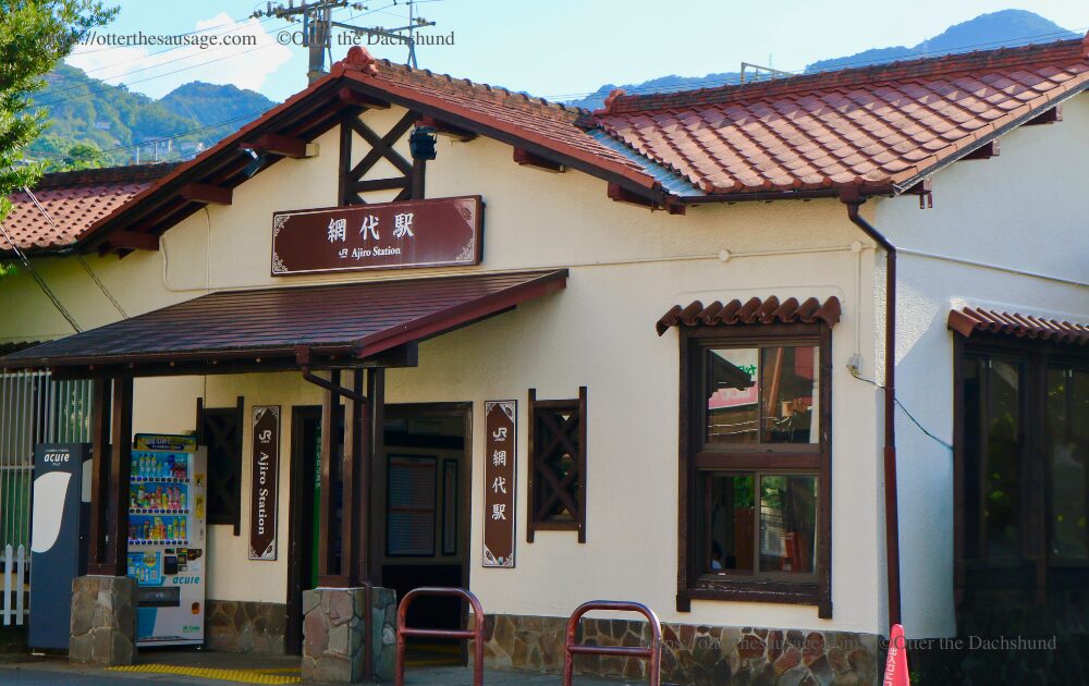 photo_travel with dog_dogfriendly-cafe_ajiro station-shizuoka