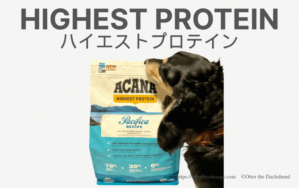 Acana_highest protein_PacificaRecipe_New-Previous packaging_Kaninchen dachshund Otter