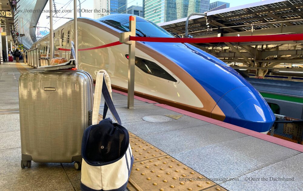bullet train_kaninchen dachshund_dog travel tips_japan_otter_free stitch