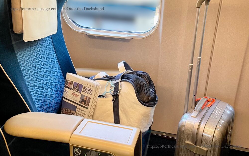 bullet train_green class_dog travel_train_dachshund_free stitch