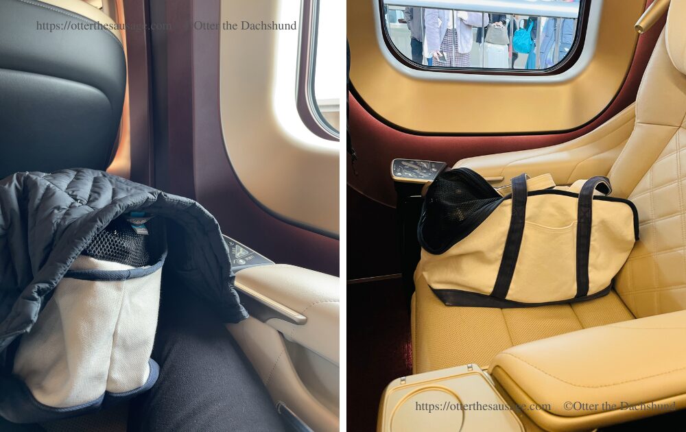 bullet train_gran class_dog travel_train_dachshund_free stitch