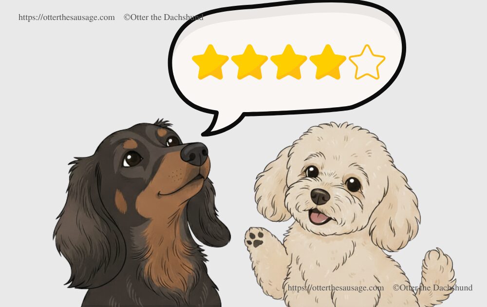 review_dachshund_poodle