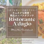 軽井沢にあるリストランテ アダージオの犬連れランチ。渡りカニのパスタと愛犬の様子