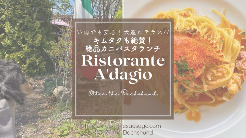 軽井沢にあるリストランテ アダージオの犬連れランチ。渡りカニのパスタと愛犬の様子