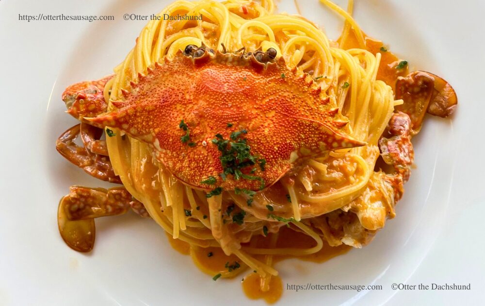 軽井沢アダージオの名物、大きなカニの甲羅が乗った渡りカニのトマトクリームパスタ